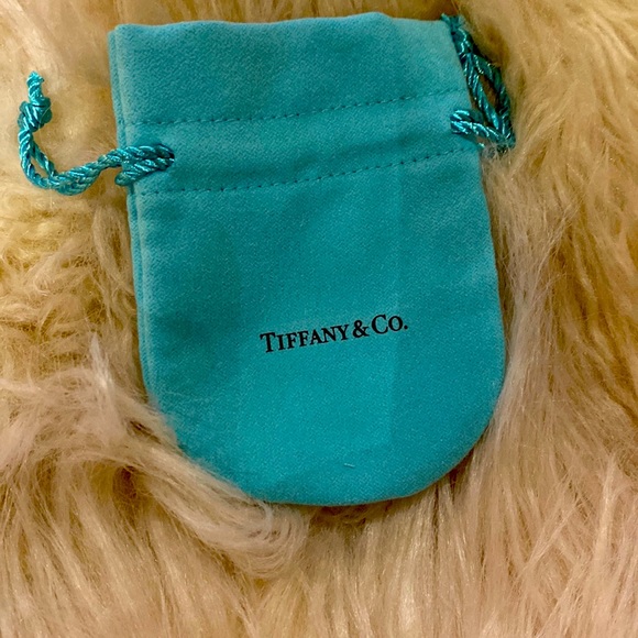 Tiffany & Co. Other Tiffany Co Pouch Empty Poshmark